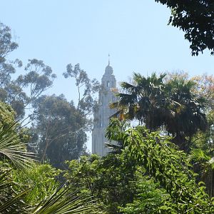 View from reptile walk