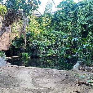 Monsoon Forest - False gharial exhibit 241123