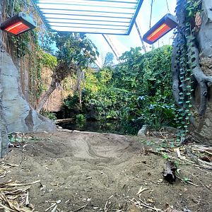 Monsoon Forest - False gharial exhibit 241123