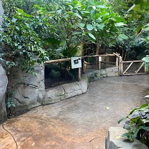 Monsoon Forest - Asian giant tortoise exhibit 241123