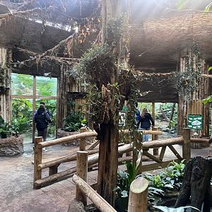 Spirit of the Jaguar - view towards Jaguar indoors 241123