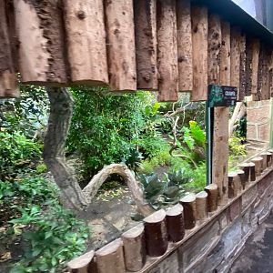 Tropical Realm - mixed exhibit 241123