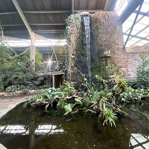 Tropical Realm 241123