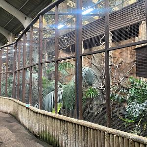 Tropical Realm - Hornbill aviaries 241123