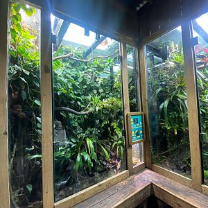 Tropical Realm - mixed exhibit 241123