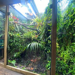 Tropical Realm - mixed exhibit 241123