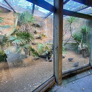 Aviary for Elegant crested tinamou and Blue-throated macaw 241123