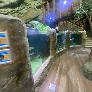 Northern Streams - mixed exhibit 251123