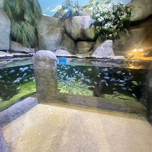 Mixed exhibit 251123