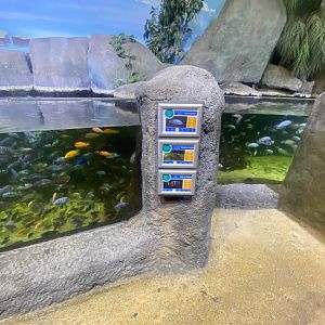 Mixed exhibit 251123