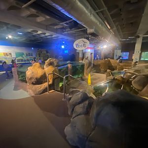 Rock Pools area 251123