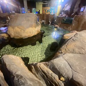 Rock Pools area 251123