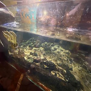 Rock Pools area 251123