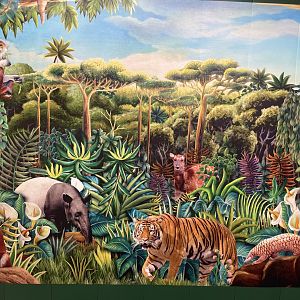 Rainforest Wild Asia Construction wall