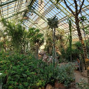 Wüstenhaus - Cold conservatory