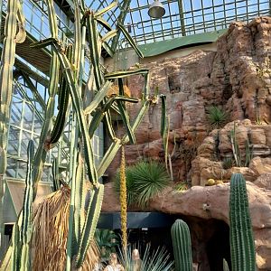 Wüstenhaus - American desert