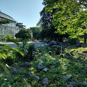 Wüstenhaus - Summer garden