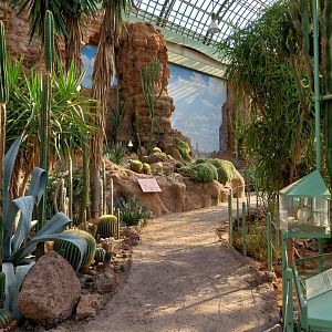 Wüstenhaus - Main conservatory (American desert)