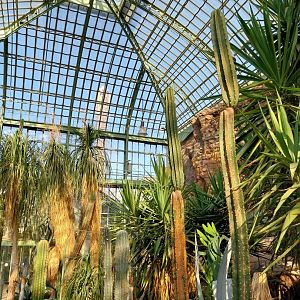 Wüstenhaus - Main conservatory (American desert)