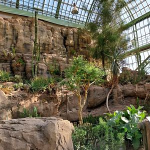 Wüstenhaus - Main conservatory (American desert)