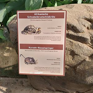 Wüstenhaus - Main conservatory (American desert) - Animal signs