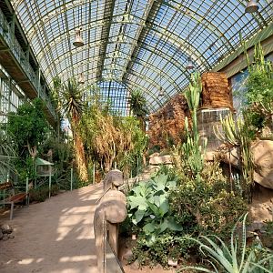 Wüstenhaus - Main conservatory (American desert)