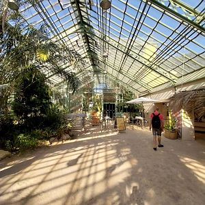 Wüstenhaus - Main conservatory (American desert) - Entrance conservatory