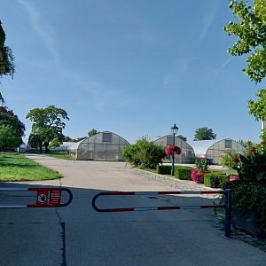 Blumengärten Hirschstetten - Plant nursery