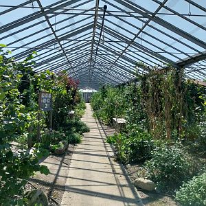 Blumengärten Hirschstetten - Aviary for native songbirds