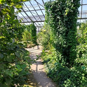Blumengärten Hirschstetten - Aviary for native songbirds