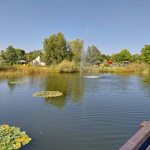 Blumengärten Hirschstetten - General view