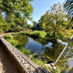 Blumengärten Hirschstetten - Breeding center for European turtles and tortoises