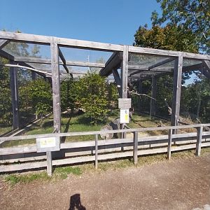 Blumengärten Hirschstetten - Owl aviaries