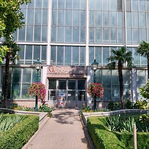 Blumengärten Hirschstetten - Palmenhaus