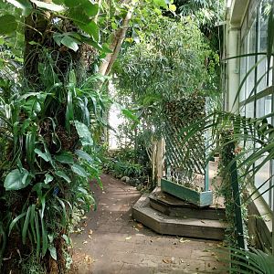 Blumengärten Hirschstetten - Palmenhaus - General view