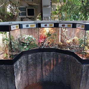 Blumengärten Hirschstetten - Palmenhaus - Terraria for insects