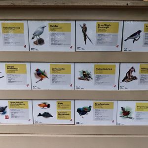 Blumengärten Hirschstetten - Palmenhaus - Animal signs