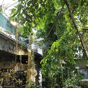 Blumengärten Hirschstetten - Palmenhaus - General view