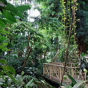 Blumengärten Hirschstetten - Palmenhaus - General view