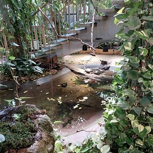 Blumengärten Hirschstetten - Palmenhaus - General view