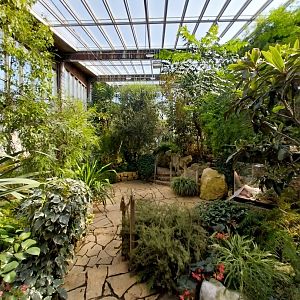 Blumengärten Hirschstetten - Palmenhaus - Mediterranean conservatory