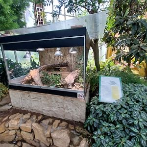 Blumengärten Hirschstetten - Palmenhaus - Mediterranean conservatory