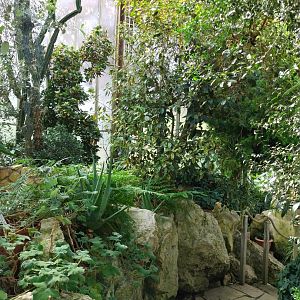Blumengärten Hirschstetten - Palmenhaus - Mediterranean conservatory