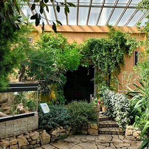 Blumengärten Hirschstetten - Palmenhaus - Mediterranean conservatory