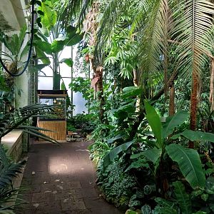 Blumengärten Hirschstetten - Palmenhaus - General view