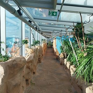 Haus des Meeres - Australien Erlebniswelt skywalk