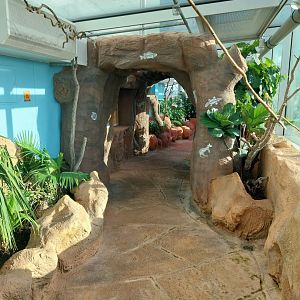 Haus des Meeres - Australien Erlebniswelt skywalk