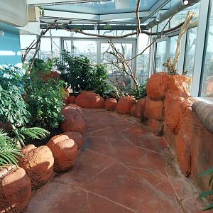 Haus des Meeres - Australien Erlebniswelt skywalk