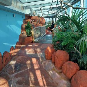 Haus des Meeres - Australien Erlebniswelt skywalk