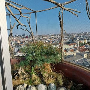 Haus des Meeres - Australien Erlebniswelt skywalk - Hanging aviary